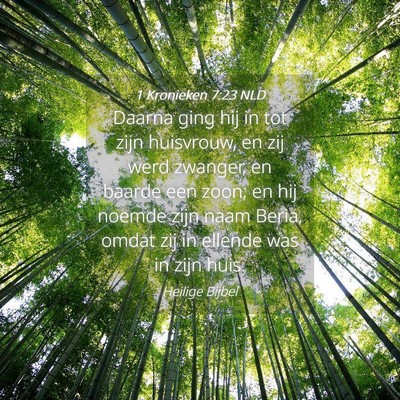Picture 04 - 1 Kronieken 7:23 NLD - Daarna ging hij in tot zijn huisvrouw, en zij - Bible Verse Picture
