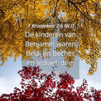 Picture 04 - 1 Kronieken 7:6 NLD - De kinderen van Benjamin waren Bela, en Becher, - Bible Verse Picture