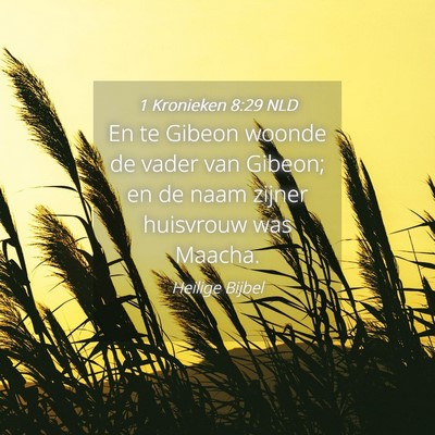Picture 04 - 1 Kronieken 8:29 NLD - En te Gibeon woonde de vader van Gibeon; en de - Bible Verse Picture