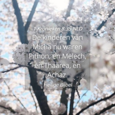 Picture 04 - 1 Kronieken 8:35 NLD - De kinderen van Micha nu waren Pithon, en Melech, - Bible Verse Picture