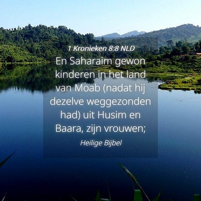Picture 04 - 1 Kronieken 8:8 NLD - En Saharaim gewon kinderen in het land van Moab - Bible Verse Picture