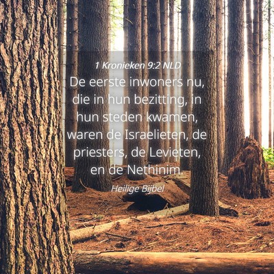 Picture 04 - 1 Kronieken 9:2 NLD - De eerste inwoners nu, die in hun bezitting, in - Bible Verse Picture