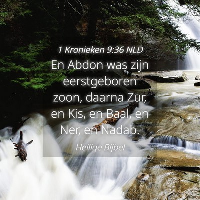 Picture 04 - 1 Kronieken 9:36 NLD - En Abdon was zijn eerstgeboren zoon, daarna Zur, - Bible Verse Picture