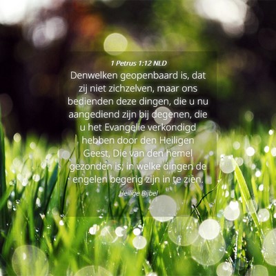Picture 04 - 1 Petrus 1:12 NLD - Denwelken geopenbaard is, dat zij niet - Bible Verse Picture