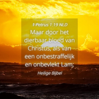 Picture 04 - 1 Petrus 1:19 NLD - Maar door het dierbaar bloed van Christus, als - Bible Verse Picture