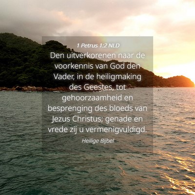 Picture 04 - 1 Petrus 1:2 NLD - Den uitverkorenen naar de voorkennis van God den - Bible Verse Picture