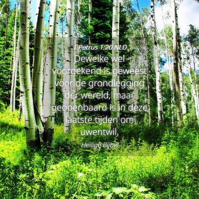 Picture 04 - 1 Petrus 1:20 NLD - Dewelke wel voorgekend is geweest voor de - Bible Verse Picture
