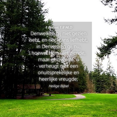 Picture 04 - 1 Petrus 1:8 NLD - Denwelken gij niet gezien hebt, en nochtans - Bible Verse Picture