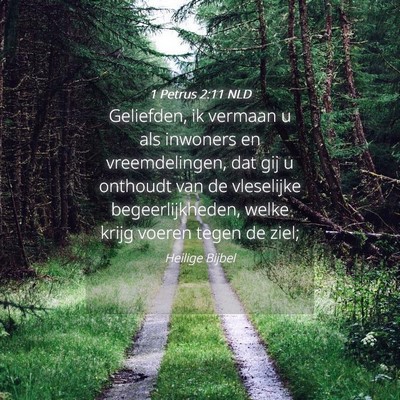 Picture 04 - 1 Petrus 2:11 NLD - Geliefden, ik vermaan u als inwoners en - Bible Verse Picture