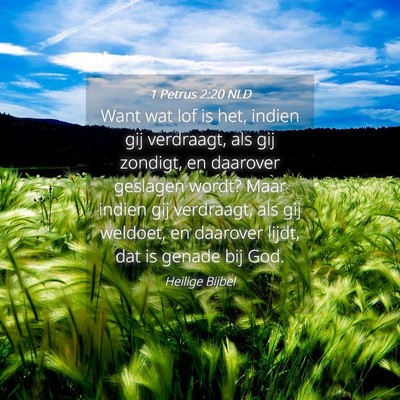 Picture 04 - 1 Petrus 2:20 NLD - Want wat lof is het, indien gij verdraagt, als - Bible Verse Picture
