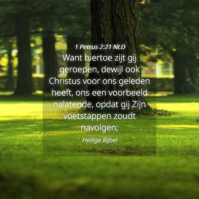 Picture 04 - 1 Petrus 2:21 NLD - Want hiertoe zijt gij geroepen, dewijl ook - Bible Verse Picture