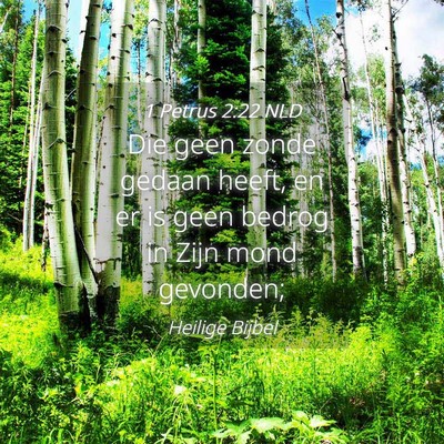 Picture 04 - 1 Petrus 2:22 NLD - Die geen zonde gedaan heeft, en er is geen bedrog - Bible Verse Picture