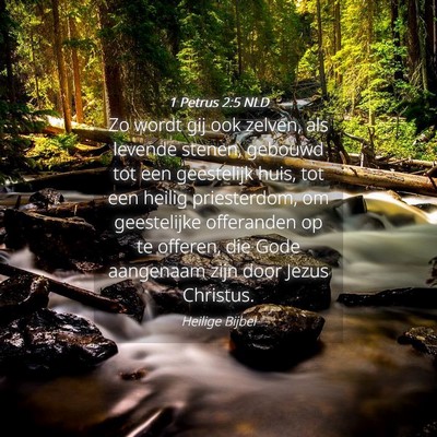 Picture 04 - 1 Petrus 2:5 NLD - Zo wordt gij ook zelven, als levende stenen, - Bible Verse Picture