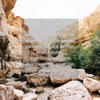 Picture 04 - 1 Petrus 2:8 NLD - (2:7) en een steen des aanstoots, en een rots der - Bible Verse Picture