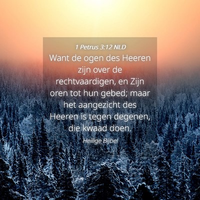 Picture 04 - 1 Petrus 3:12 NLD - Want de ogen des Heeren zijn over de - Bible Verse Picture