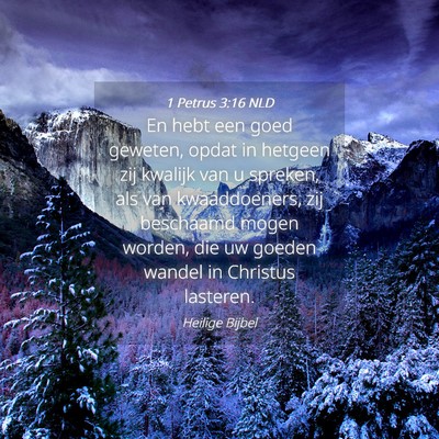 Picture 04 - 1 Petrus 3:16 NLD - En hebt een goed geweten, opdat in hetgeen zij - Bible Verse Picture