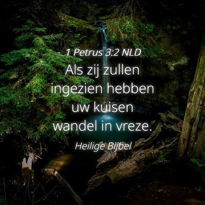 Picture 04 - 1 Petrus 3:2 NLD - Als zij zullen ingezien hebben uw kuisen wandel - Bible Verse Picture