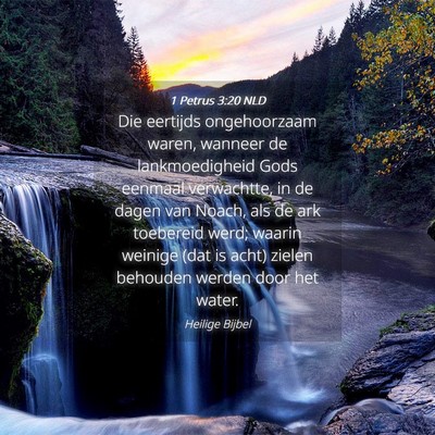 Picture 04 - 1 Petrus 3:20 NLD - Die eertijds ongehoorzaam waren, wanneer de - Bible Verse Picture