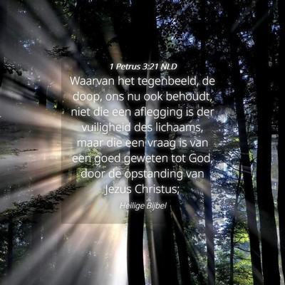 Picture 04 - 1 Petrus 3:21 NLD - Waarvan het tegenbeeld, de doop, ons nu ook - Bible Verse Picture