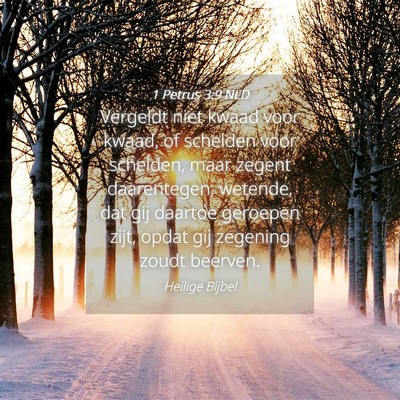 Picture 04 - 1 Petrus 3:9 NLD - Vergeldt niet kwaad voor kwaad, of schelden voor - Bible Verse Picture