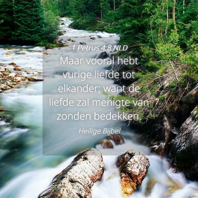 Picture 04 - 1 Petrus 4:8 NLD - Maar vooral hebt vurige liefde tot elkander; want - Bible Verse Picture