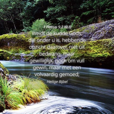 Picture 04 - 1 Petrus 5:2 NLD - Weidt de kudde Gods, die onder u is, hebbende - Bible Verse Picture