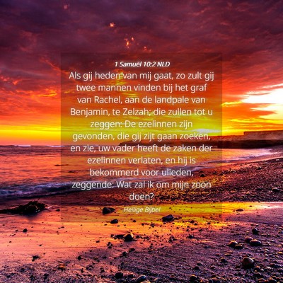 Picture 04 - 1 Samuël 10:2 NLD - Als gij heden van mij gaat, zo zult gij twee - Bible Verse Picture