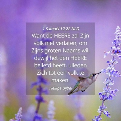 Picture 04 - 1 Samuël 12:22 NLD - Want de HEERE zal Zijn volk niet verlaten, om - Bible Verse Picture