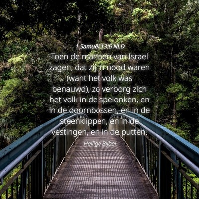 Picture 04 - 1 Samuël 13:6 NLD - Toen de mannen van Israel zagen, dat zij in nood - Bible Verse Picture