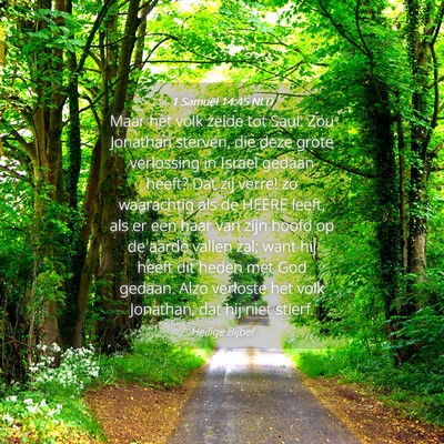 Picture 04 - 1 Samuël 14:45 NLD - Maar het volk zeide tot Saul: Zou Jonathan - Bible Verse Picture