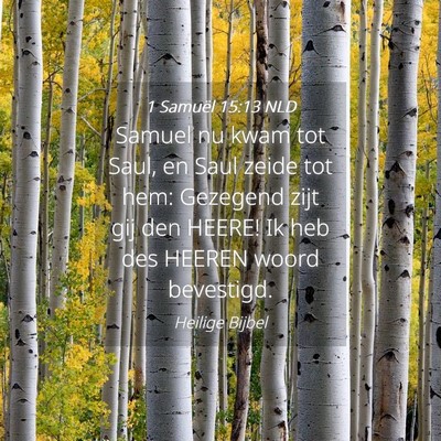 Picture 04 - 1 Samuël 15:13 NLD - Samuel nu kwam tot Saul, en Saul zeide tot hem: - Bible Verse Picture