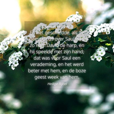 Picture 04 - 1 Samuël 16:23 NLD - En het geschiedde, als de geest Gods over Saul - Bible Verse Picture