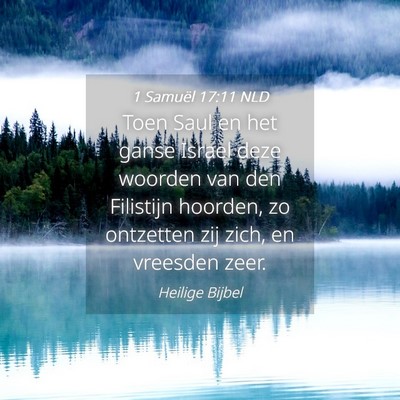 Picture 04 - 1 Samuël 17:11 NLD - Toen Saul en het ganse Israel deze woorden van - Bible Verse Picture