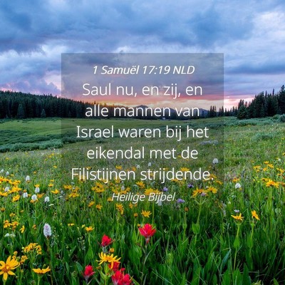 Picture 04 - 1 Samuël 17:19 NLD - Saul nu, en zij, en alle mannen van Israel waren - Bible Verse Picture