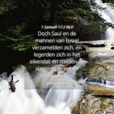 Picture 04 - 1 Samuël 17:2 NLD - Doch Saul en de mannen van Israel verzamelden - Bible Verse Picture