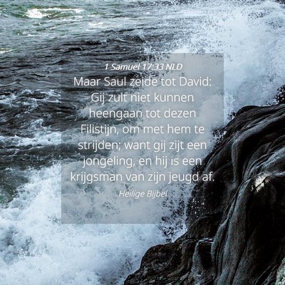 Picture 04 - 1 Samuël 17:33 NLD - Maar Saul zeide tot David: Gij zult niet kunnen - Bible Verse Picture