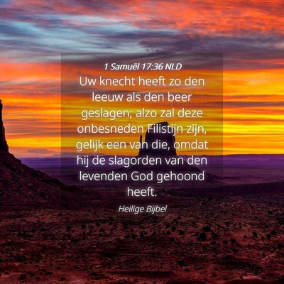 Picture 04 - 1 Samuël 17:36 NLD - Uw knecht heeft zo den leeuw als den beer - Bible Verse Picture