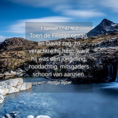 Picture 04 - 1 Samuël 17:42 NLD - Toen de Filistijn opzag, en David zag, zo - Bible Verse Picture