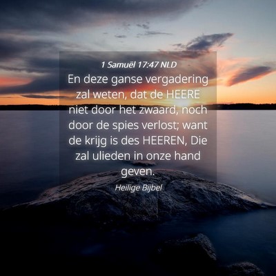 Picture 04 - 1 Samuël 17:47 NLD - En deze ganse vergadering zal weten, dat de HEERE - Bible Verse Picture