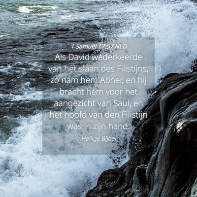 Picture 04 - 1 Samuël 17:57 NLD - Als David wederkeerde van het slaan des - Bible Verse Picture