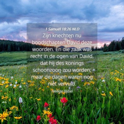 Picture 04 - 1 Samuël 18:26 NLD - Zijn knechten nu boodschapten David deze woorden. - Bible Verse Picture