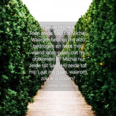 Picture 04 - 1 Samuël 19:17 NLD - Toen zeide Saul tot Michal: Waarom hebt gij mij - Bible Verse Picture