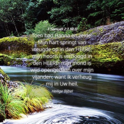 Picture 04 - 1 Samuël 2:1 NLD - Toen bad Hanna en zeide: Mijn hart springt van - Bible Verse Picture