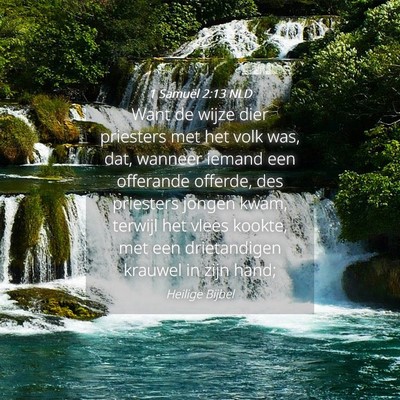 Picture 04 - 1 Samuël 2:13 NLD - Want de wijze dier priesters met het volk was, - Bible Verse Picture