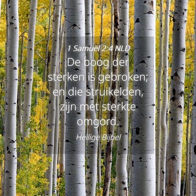 Picture 04 - 1 Samuël 2:4 NLD - De boog der sterken is gebroken; en die - Bible Verse Picture