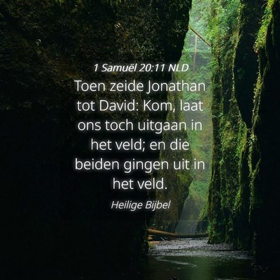 Picture 04 - 1 Samuël 20:11 NLD - Toen zeide Jonathan tot David: Kom, laat ons toch - Bible Verse Picture
