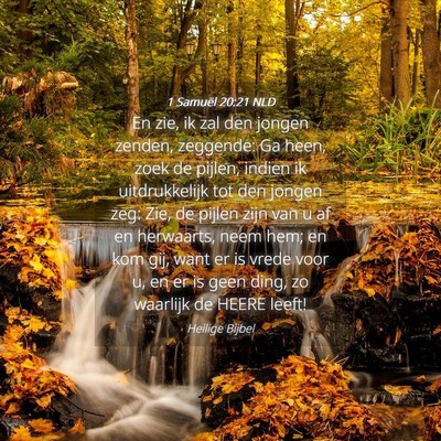 Picture 04 - 1 Samuël 20:21 NLD - En zie, ik zal den jongen zenden, zeggende: Ga - Bible Verse Picture