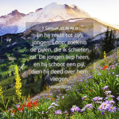 Picture 04 - 1 Samuël 20:36 NLD - En hij zeide tot zijn jongen: Loop, zoek nu de - Bible Verse Picture