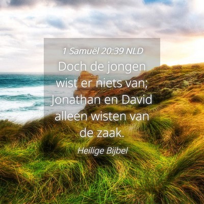 Picture 04 - 1 Samuël 20:39 NLD - Doch de jongen wist er niets van; Jonathan en - Bible Verse Picture