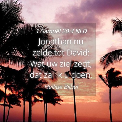 Picture 04 - 1 Samuël 20:4 NLD - Jonathan nu zeide tot David: Wat uw ziel zegt, - Bible Verse Picture